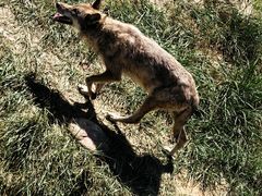 -鄂尔多斯野生动物园