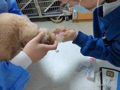 -联合动物医院(光谷诊疗中心)