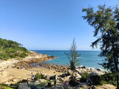 -广东惠东海龟国家级自然保护区