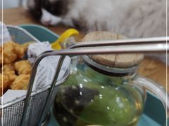 -李小姐の猫咖啡馆(五角场店)