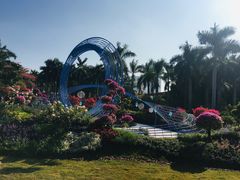 -莲花山公园