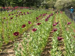 -北京植物园-展览温室