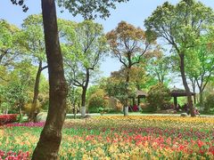 -上海鲜花港