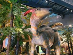 -湖南省地质博物馆