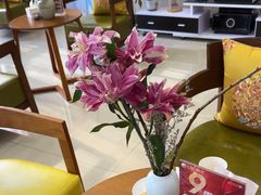 -土豆口腔(凤凰北总店)