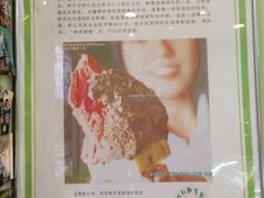 -柠檬车露(卖草地店)
