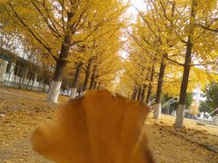 -辽东学院(南校区)