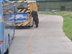 -上海野生动物园