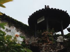 -何园