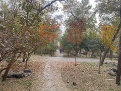 -阳台山自然风景区