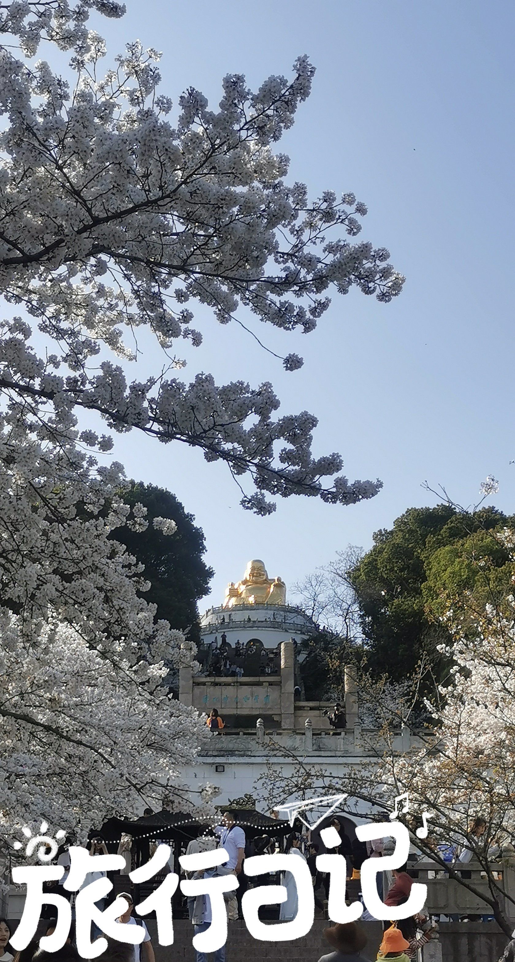 上方山的金光大佛