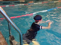 -海豚之星游泳俱乐部(喜来登馆)