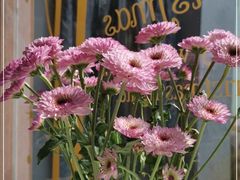 -后海16号·北京私房菜