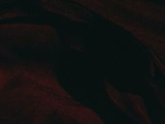 -梵克雅宝(国贸商城店)