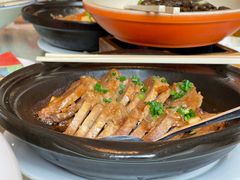 -椿记烧鹅(叠彩店)