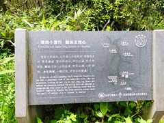 -西湖风景区十里琅珰-五云山