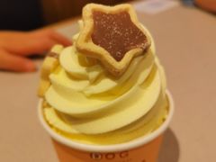 冰淇淋-dodonpa.墩墩伐 便当食堂(博华广场店)