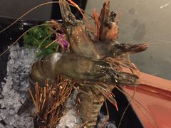 -捞王猪肚鸡火锅(昆山店)