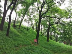 -元大都城垣遗址公园