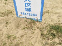-金沙湖旅游度假区