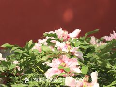-北京市劳动人民文化宫