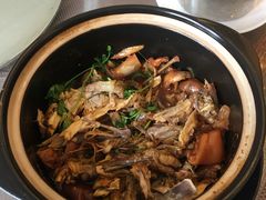 神仙鸡-海景壹号大酒店(惠钱路店)