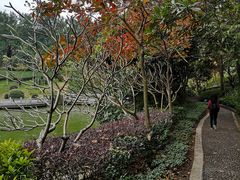 -广州市帽峰山景区