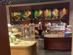 -帕帕拉兹宠物(亚洲旗舰店)