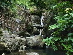 -广州市流溪河国家森林公园