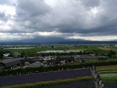 -富田农场
