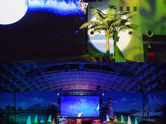 -海合安武汉极地海洋公园