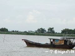 -大湾区中央湿地公园-十九涌