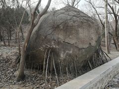 -白水寺森林公园