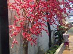 -丽池宫韩式汗蒸会馆(华灯坊店)
