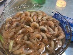 -呼吸森林·生态农庄农家乐私房菜