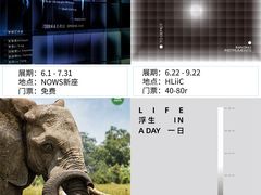 -江苏省美术馆(长江路新馆)