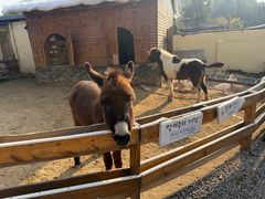 -HERRE·FARM 赫尔露营农场·团建聚会包场