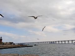 -星海广场