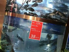 -蜀滋香鲜鱼美蛙火锅(339店)