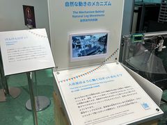 -日本科学未来馆
