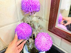 -山水茶艺馆·点心粤菜·30年老字号