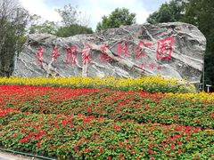 -东平国家森林公园