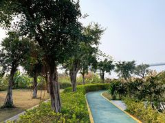 -芒洲湿地公园