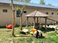 -石家庄市动物园