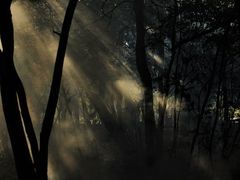 -维乐口腔医院(星海湾分院)