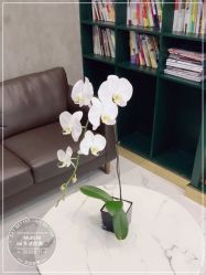 -悦Salon发型设计