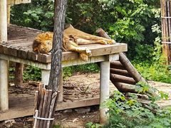 -石家庄市动物园