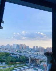 -河南中医药大学第一附属医院-医疗整形