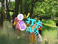 -东湖落雁景区
