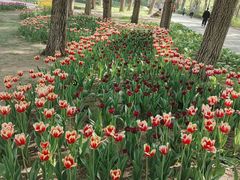 -长春公园(普阳街道)